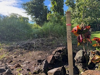 Lot #2 in Hawaiian Parks