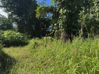 15,077 square foot lot asking price $28,000