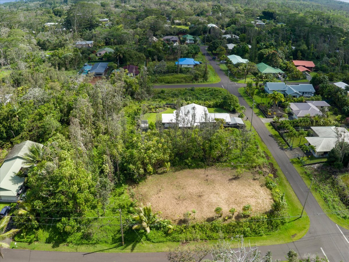 Aerial image of the subject lot and neighboring homes