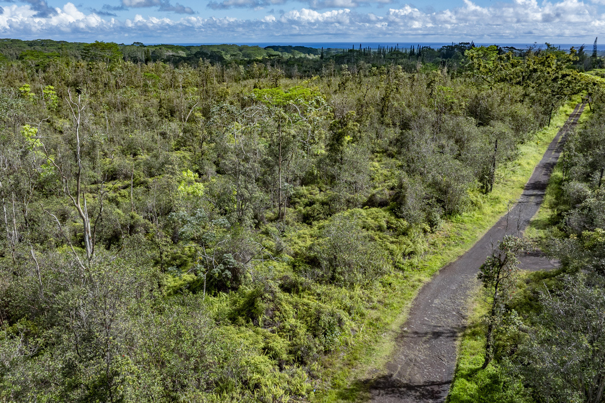 Six acre opportunity on Kehaulani Street in Orchid Land Estates