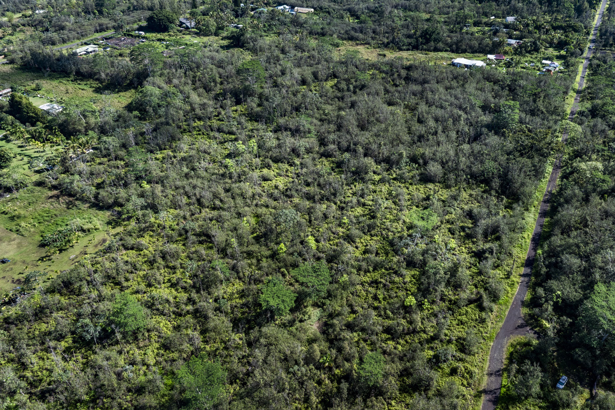 Own acreage in Orchid Land Estates