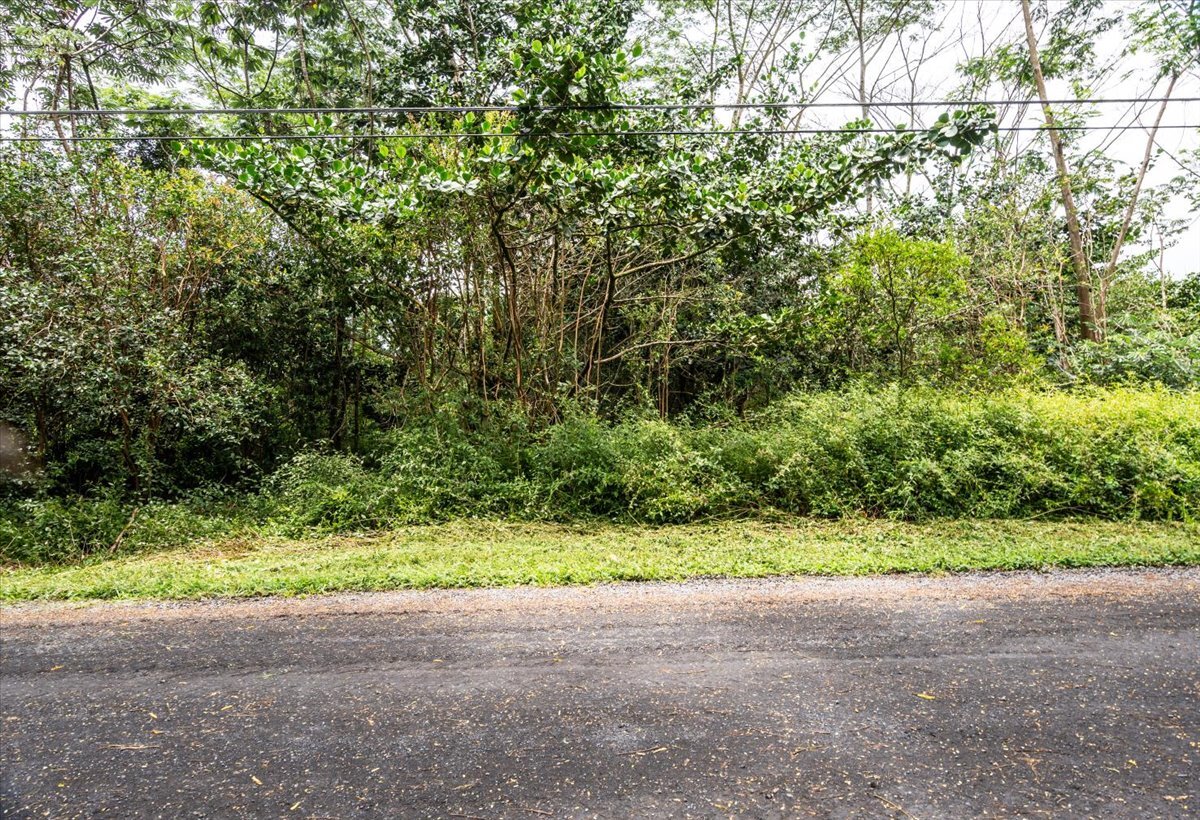 1 Acre in Hawaii $105,000