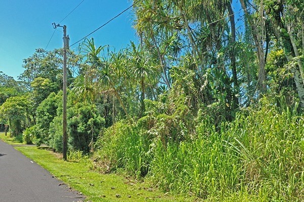 overhead electric and cable services available 