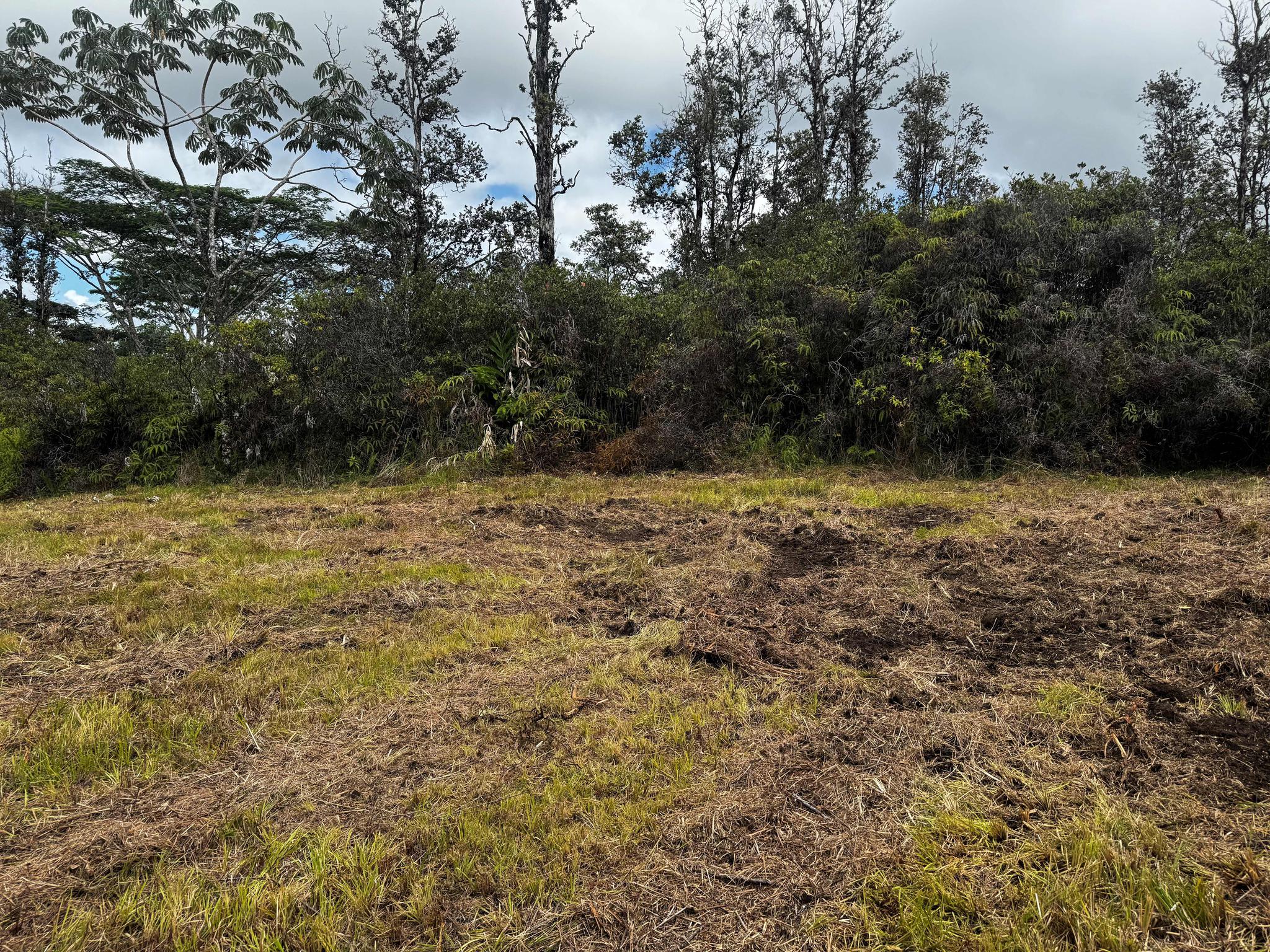 Orchid Land Estates 40th Avenue -3 Acres with Improvements!