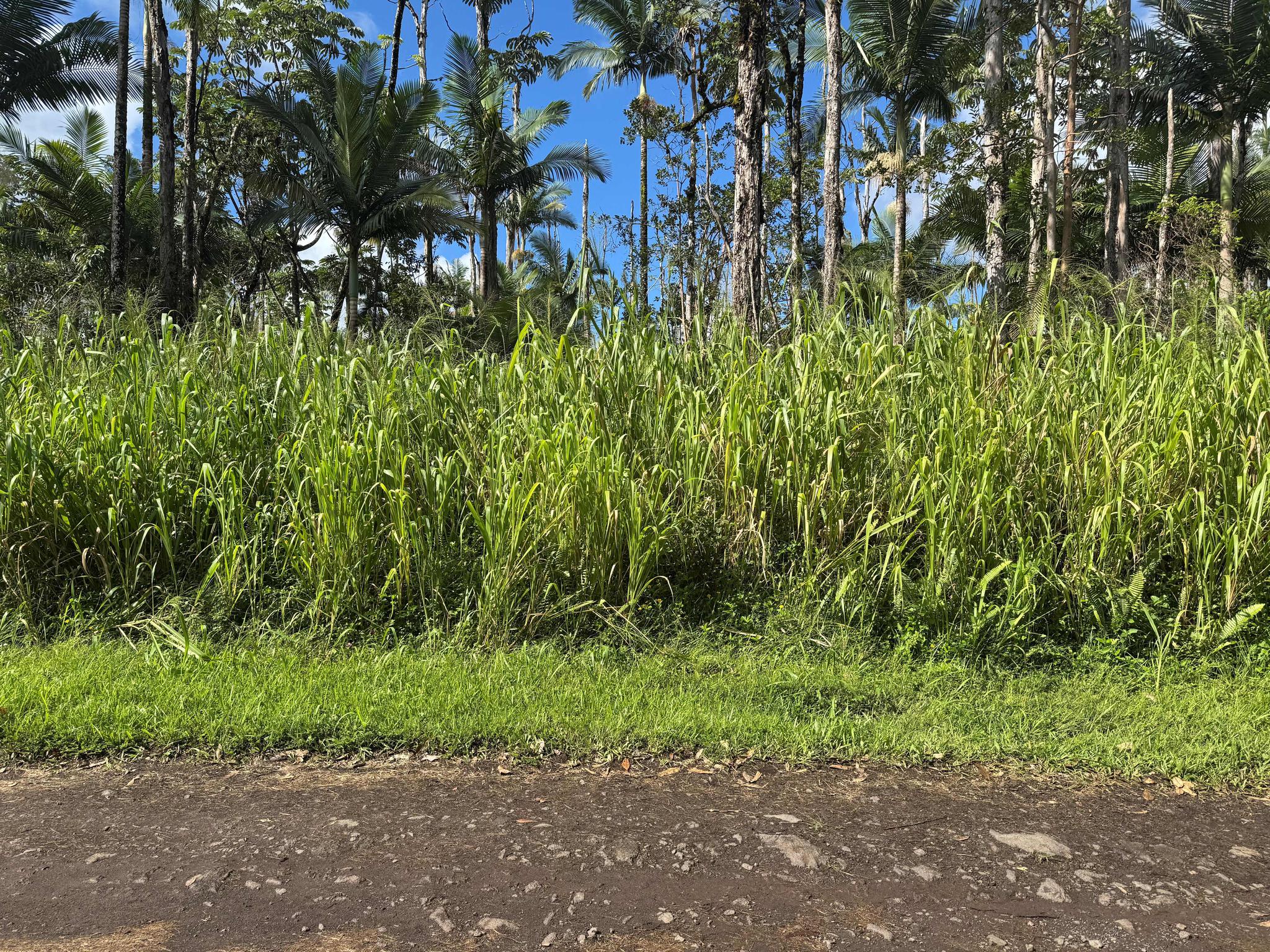 16-1790 39th Avenue Keaau, HI