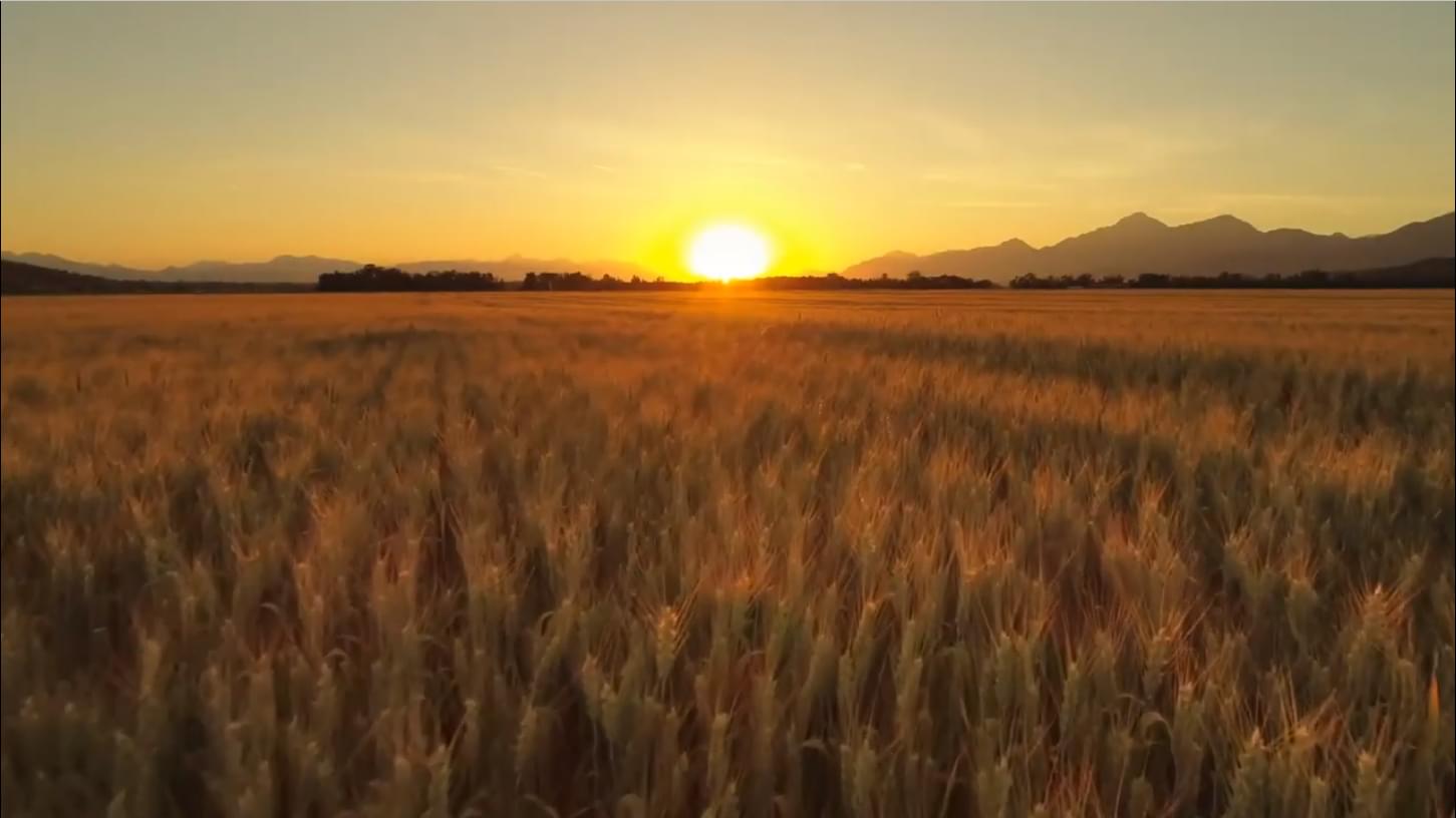 Rural KC Your Kansas City Area Rural Property Real Estate Resource