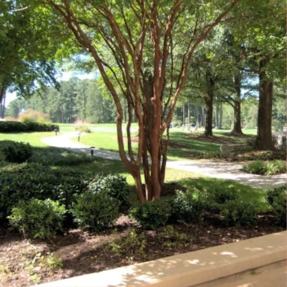 Chatham County Real Estate Provided By Realty World Carolina Properties