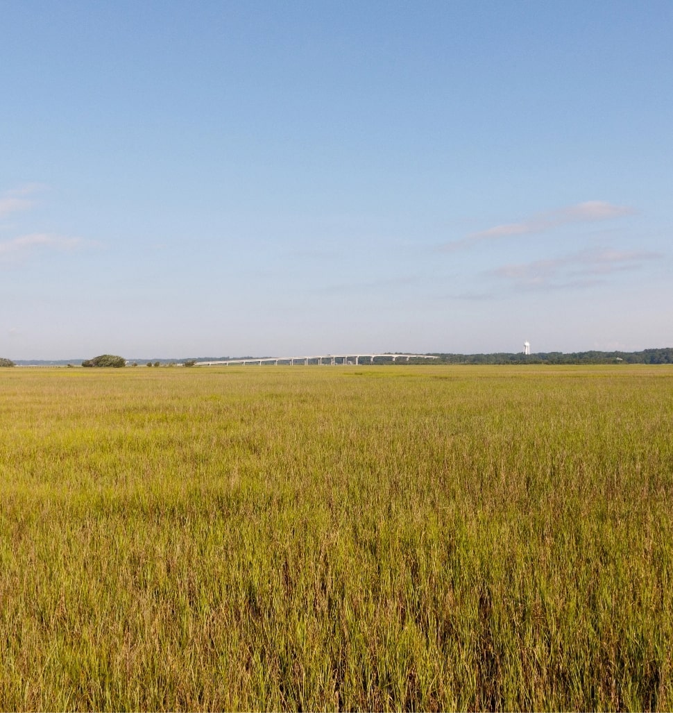 Chatham County Real Estate Provided By Realty World Carolina Properties