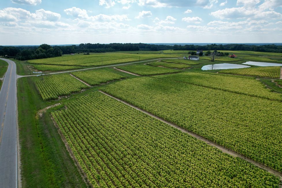 open farmland