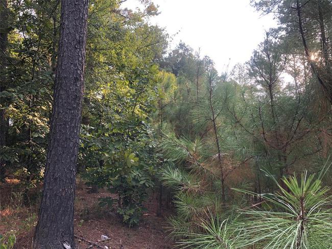  Dewberry Circle,  74728