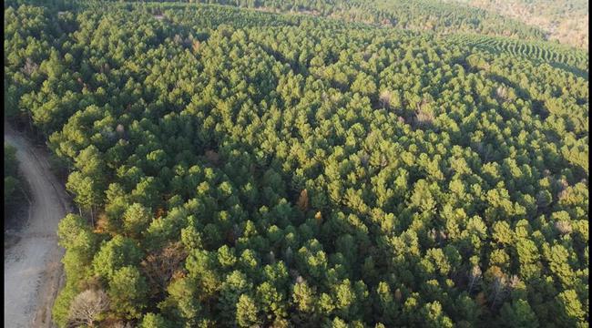 55 Brittains Branch, OK 74728