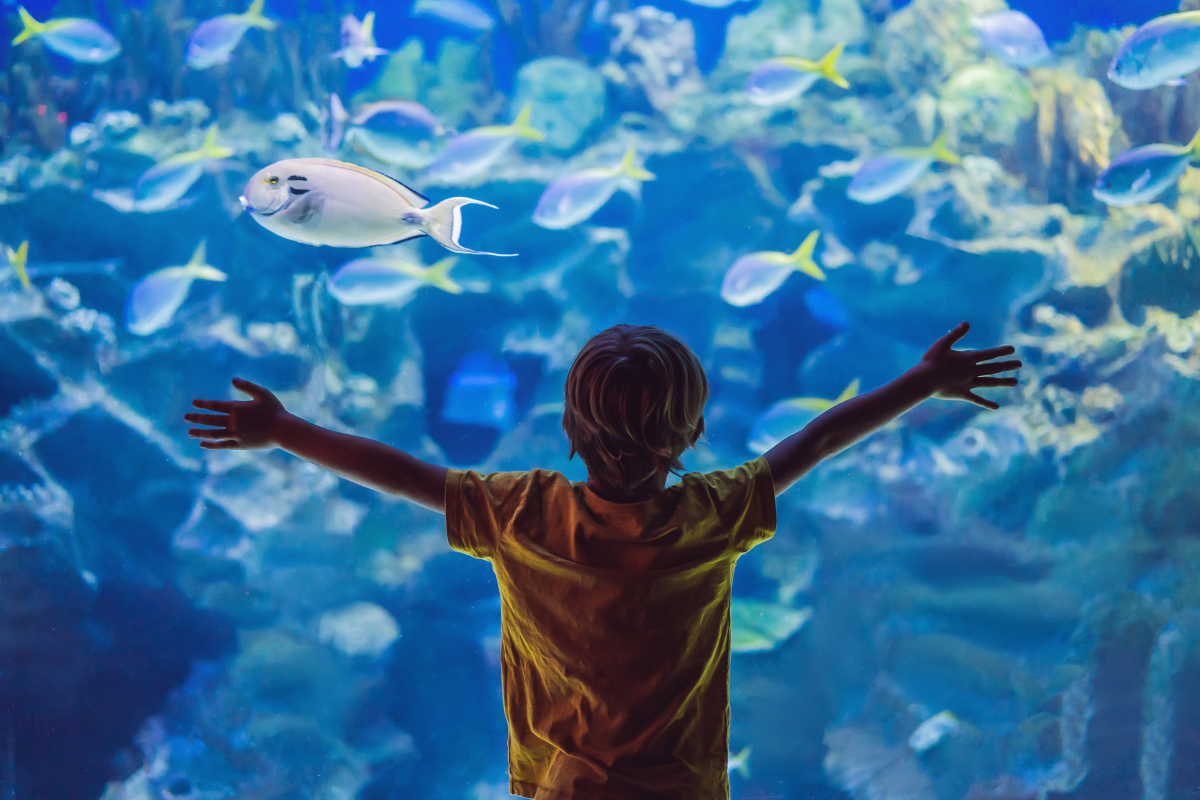 aquarium