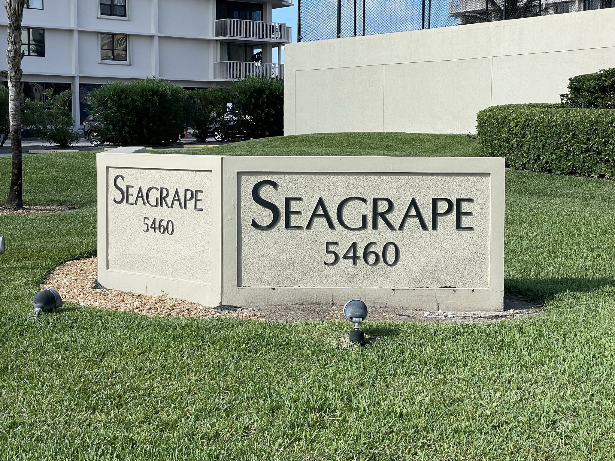 Seagrape