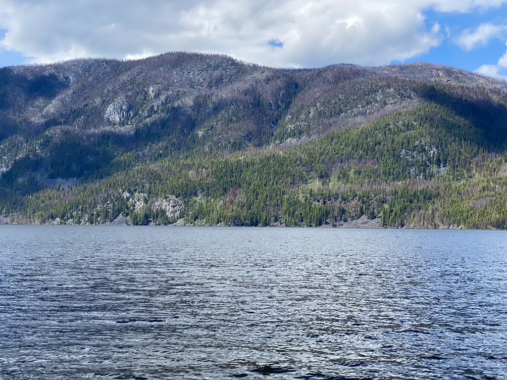 Your Gem at Loon Lake