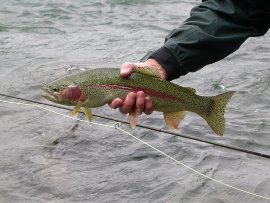 Fishing at Northern Lights