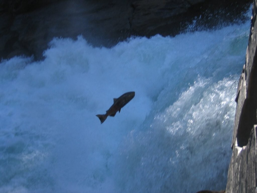 Fishing at Northern Lights