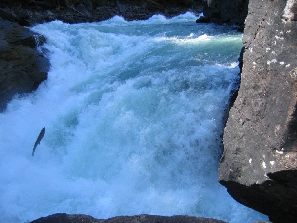 Fishing at Northern Lights