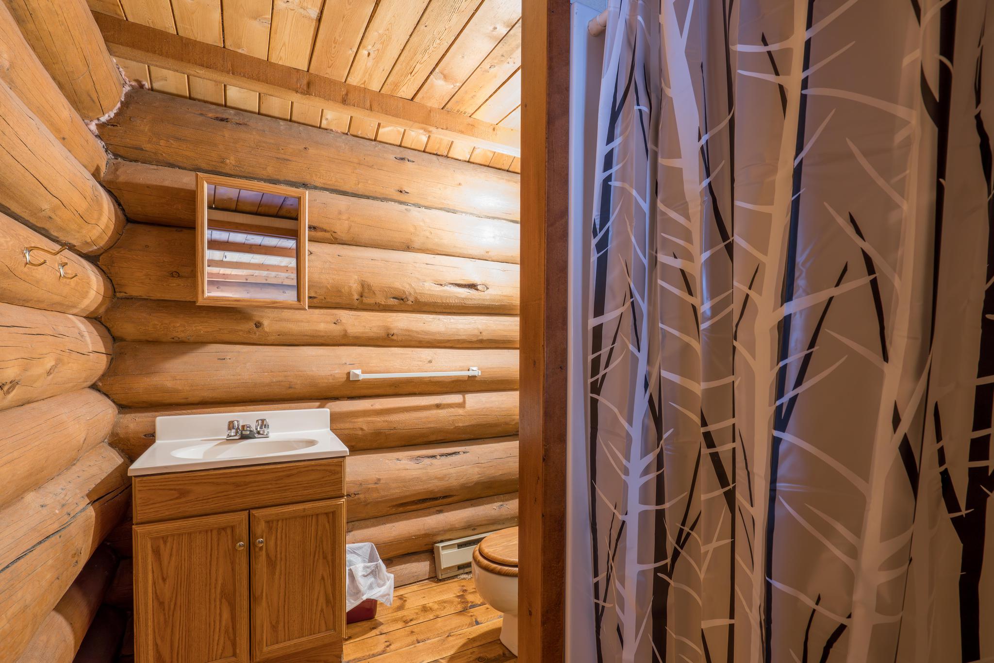Cabin 11