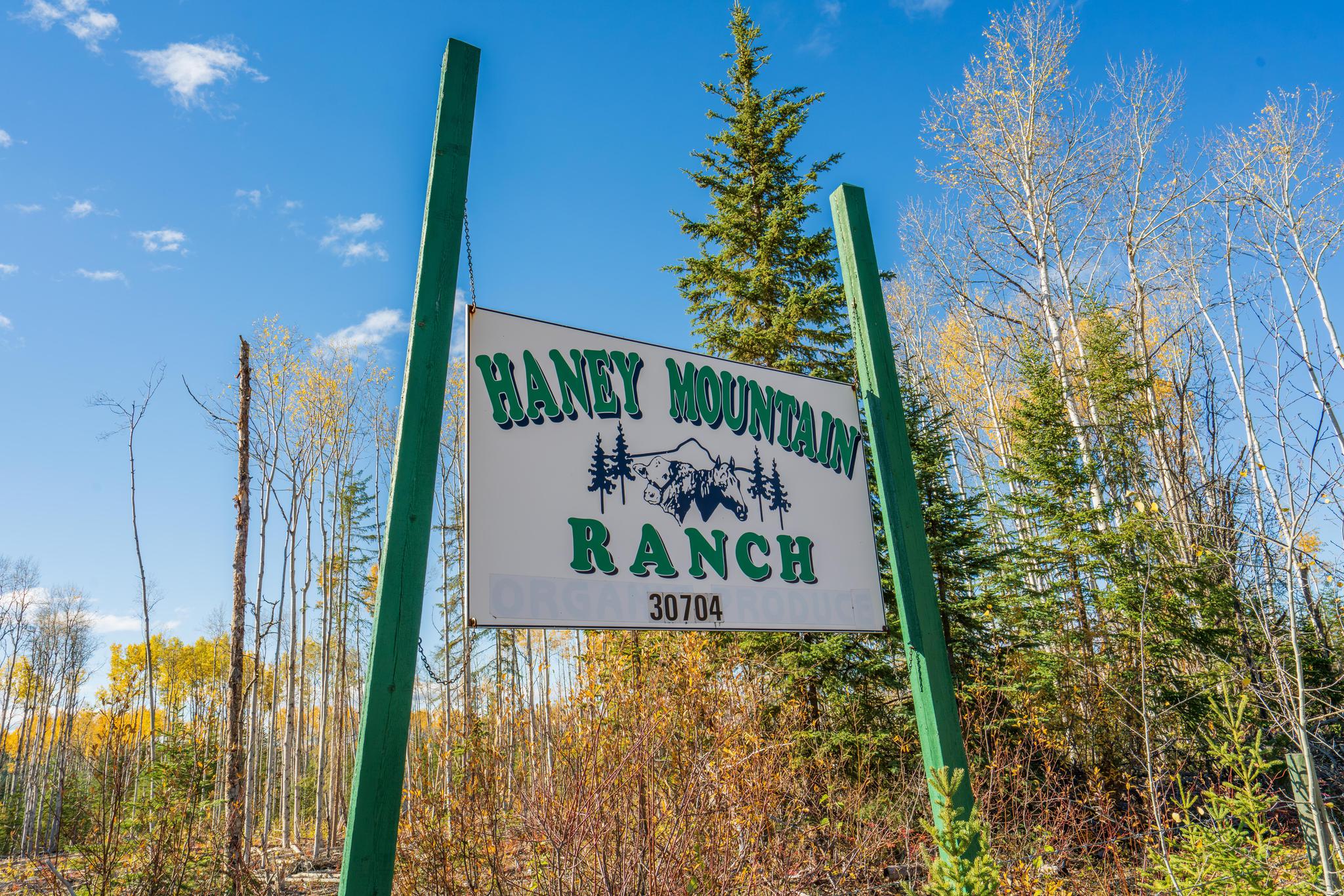 Ranch /Buildings / Infrastructure