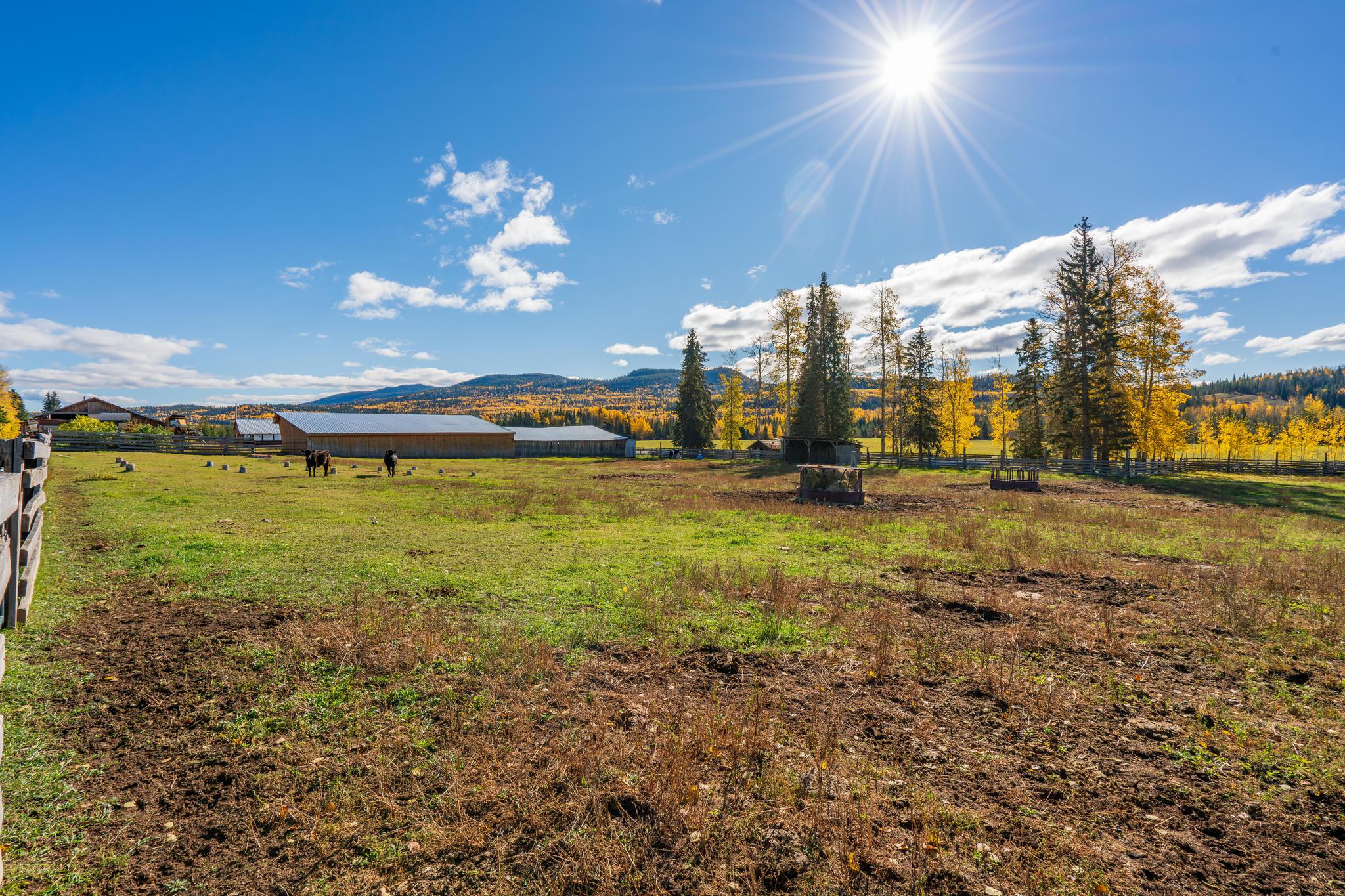 Ranch /Buildings / Infrastructure