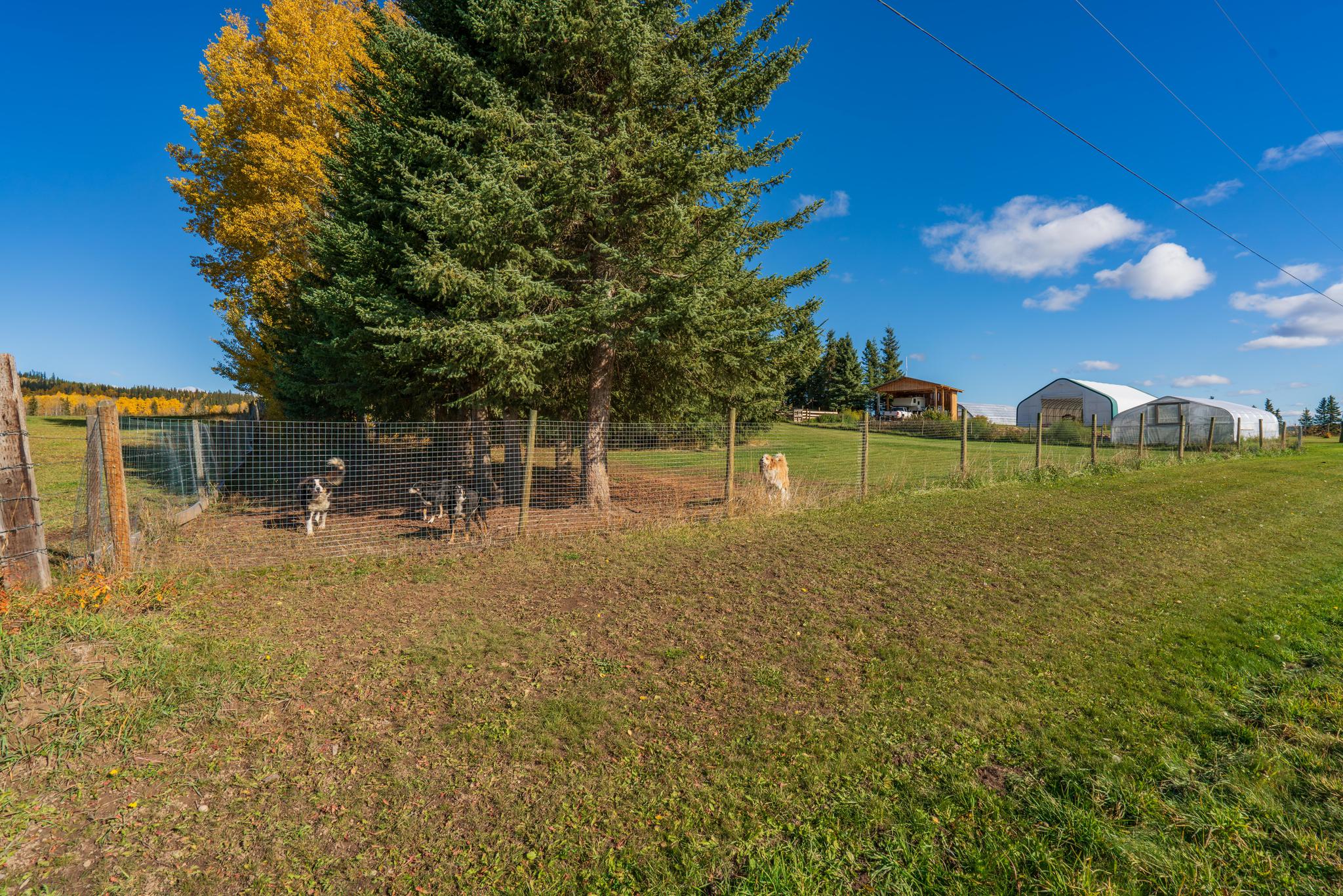 Ranch /Buildings / Infrastructure