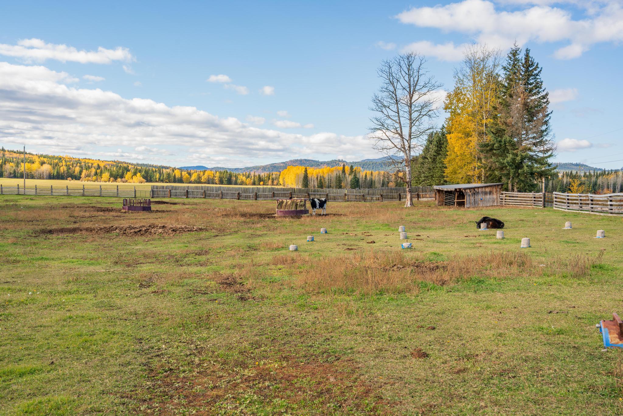 Ranch /Buildings / Infrastructure