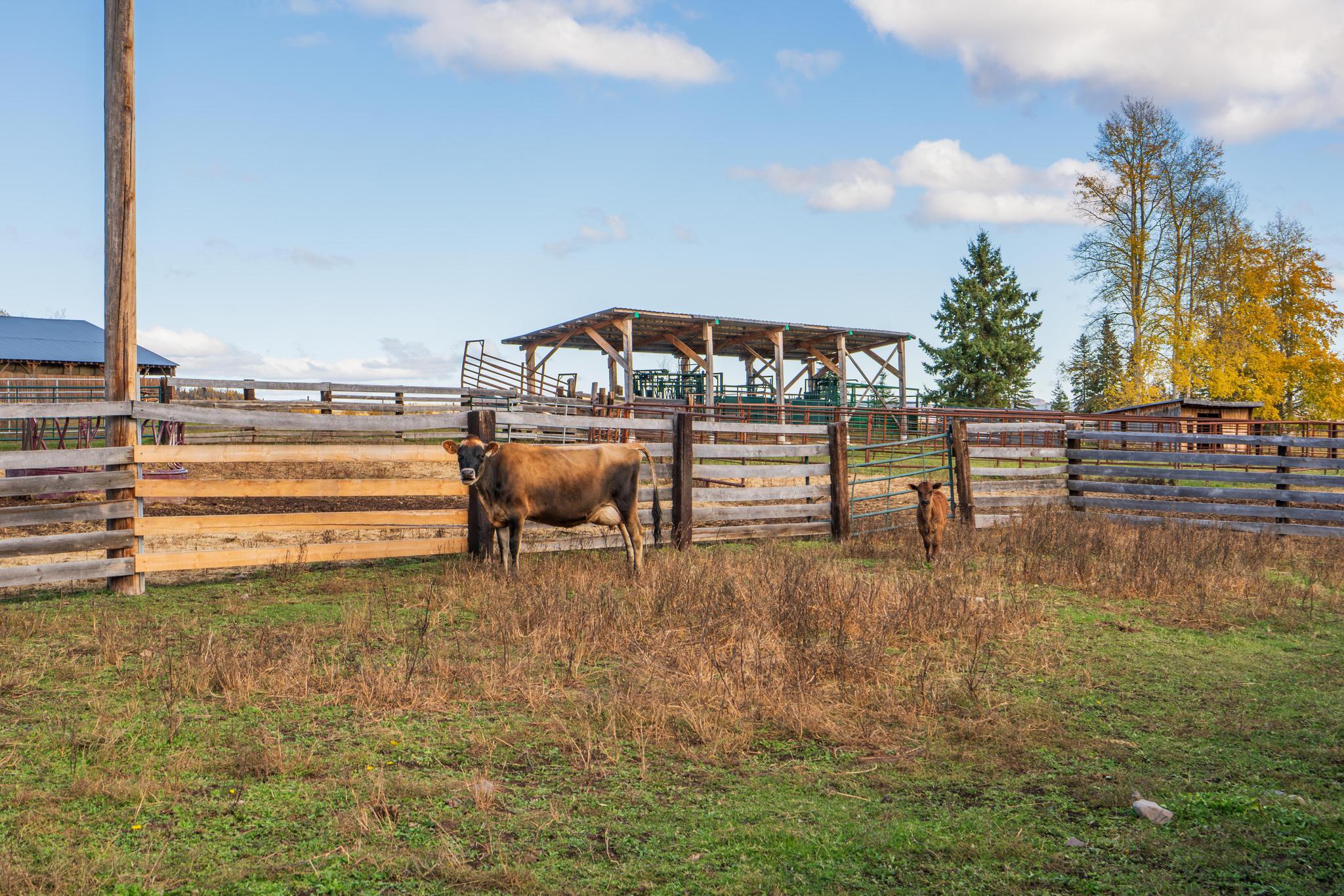 Ranch /Buildings / Infrastructure