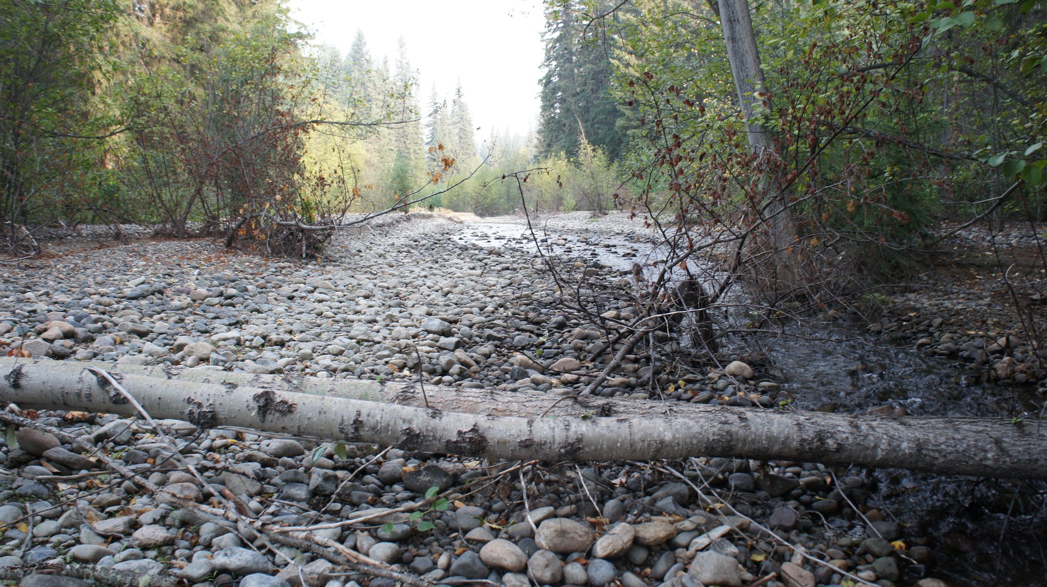 7351 South McBride Timber Road