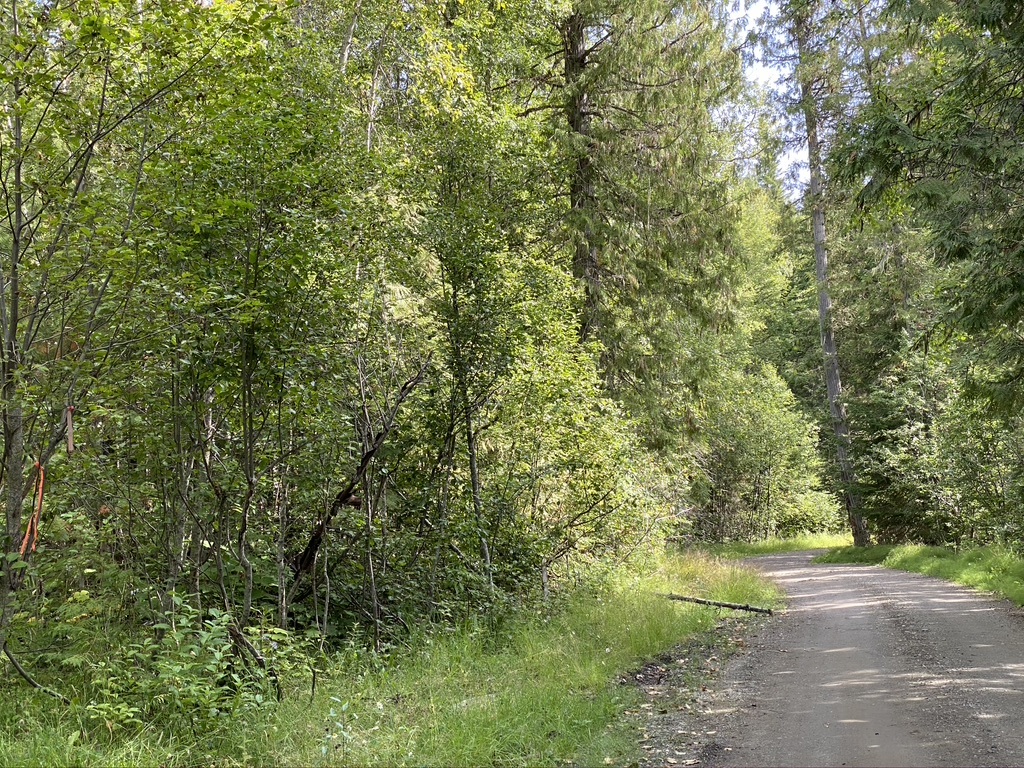 5 Acre building lot in Horsefly, For Sale Horsefly Bay