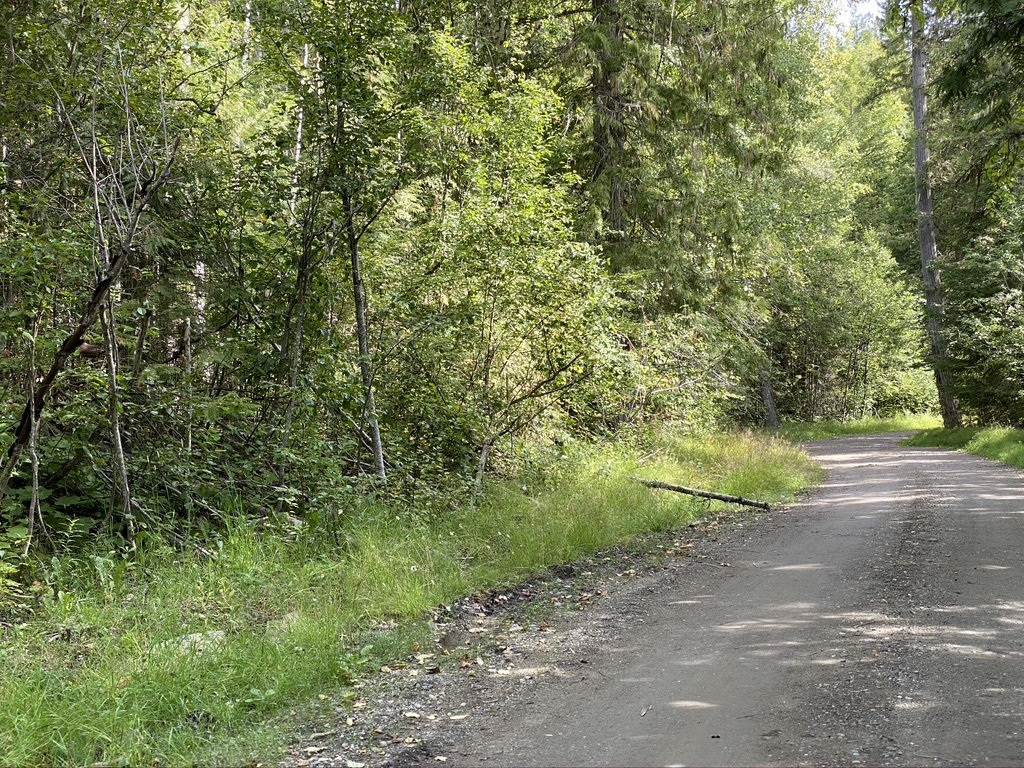 5 Acre building lot in Horsefly, For Sale Horsefly Bay