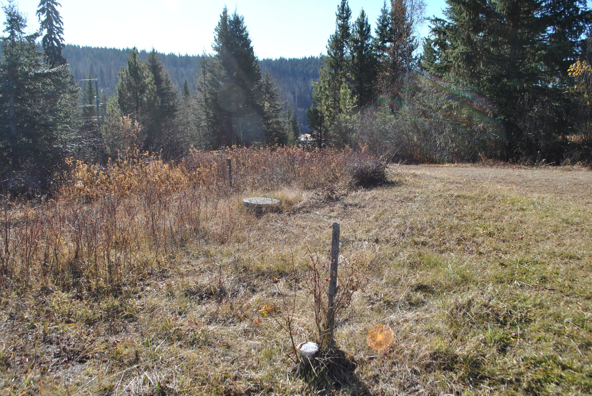 10 Acres on the Horsefly River