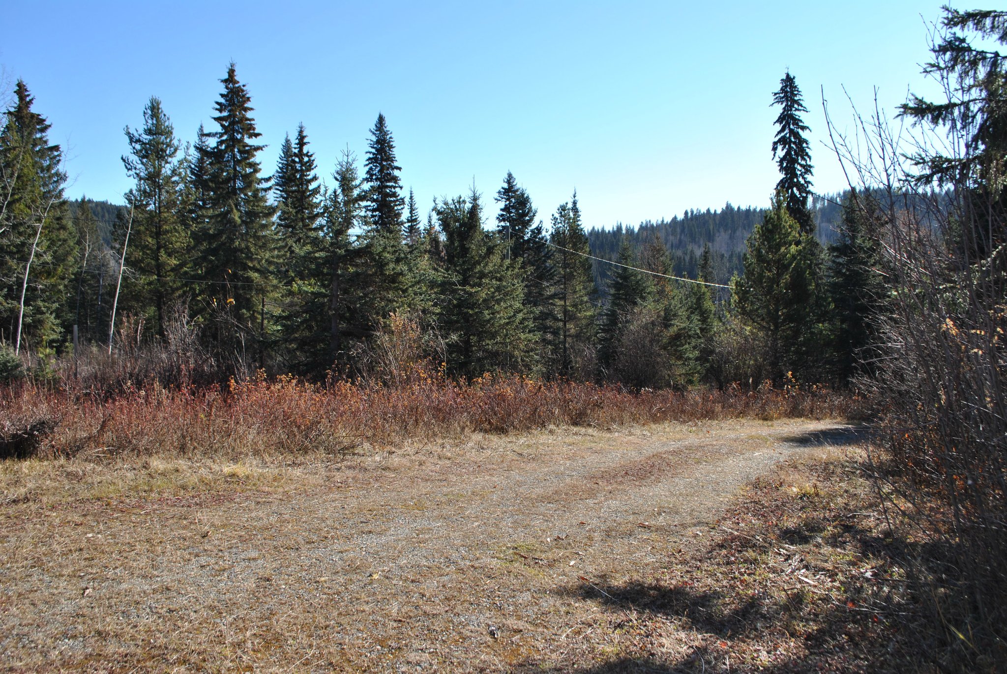 10 Acres on the Horsefly River