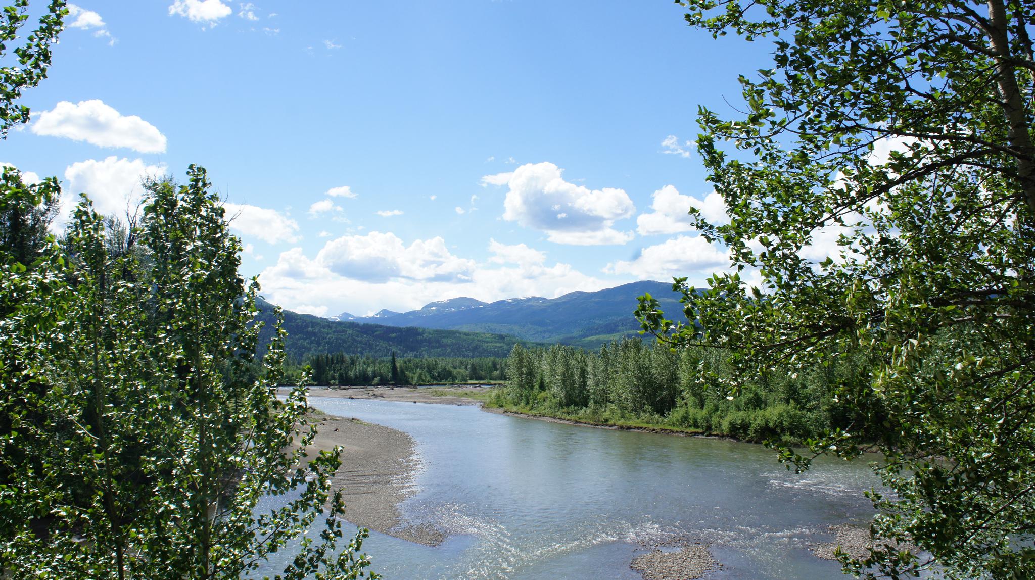 Falling Creek Ranch, Chetwynd FOR SALE