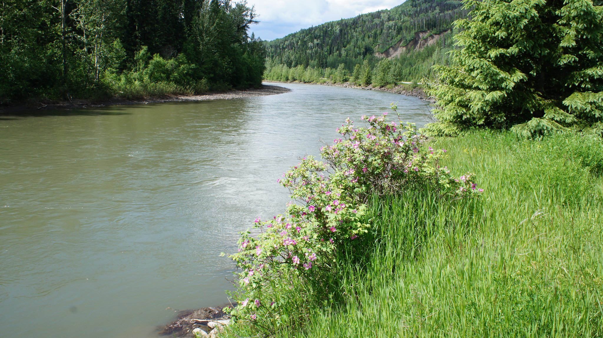 A Hunters & Fishermans Dream, Trophy Property with Lakes, River, High