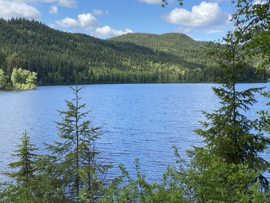 Escape the City Life on these 10 acres with Cabin in the 100 Mile House