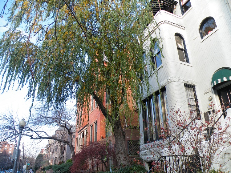 Dupont Circle DC Townhomes