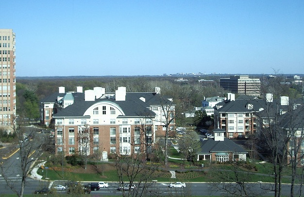 Reston Neighborhood