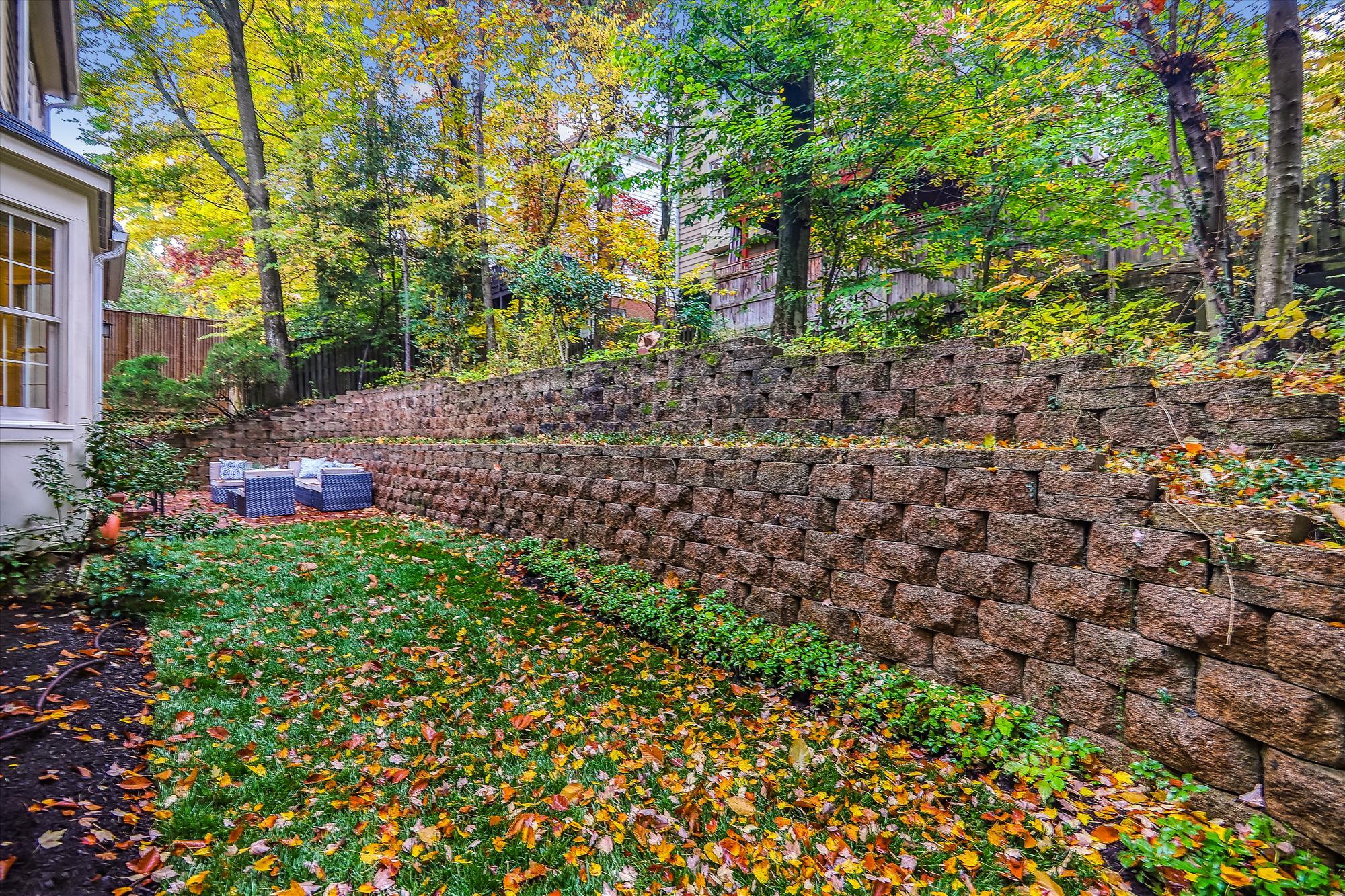 Exterior - Back yard