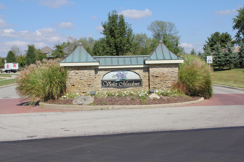 Violet Meadows Real Estate Violet Meadows Homes For Sale