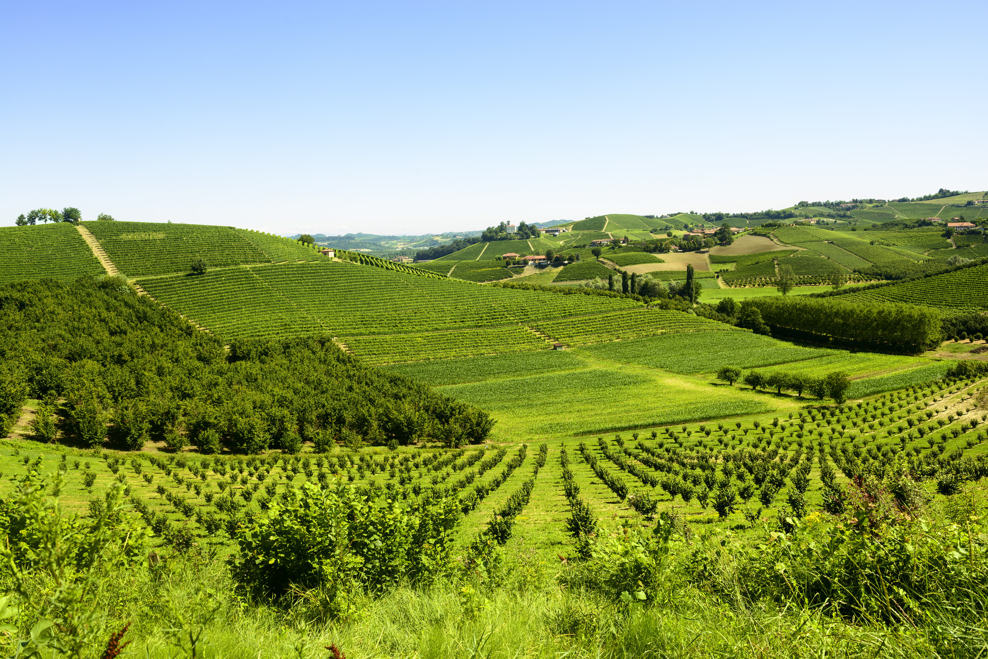 How to Sell Farmland in Southern Middle Tennessee