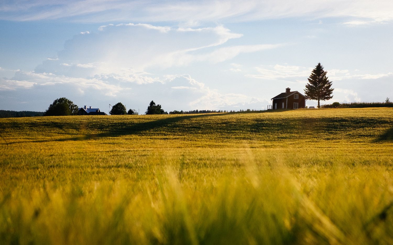 Why Choose Chuck Simpson for Your Real Estate Needs