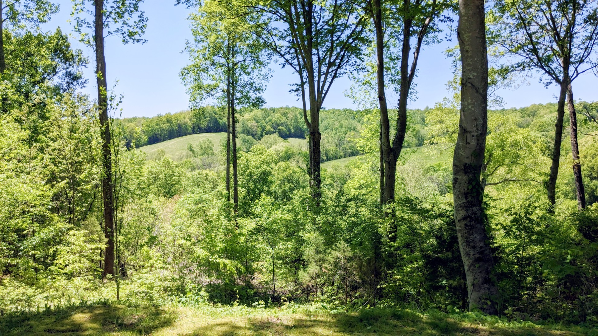 The Truth About a Perfect Country Home: A Porch with a View over Green Meadows and Rollings Hills. - Abundance of Shadow with a View