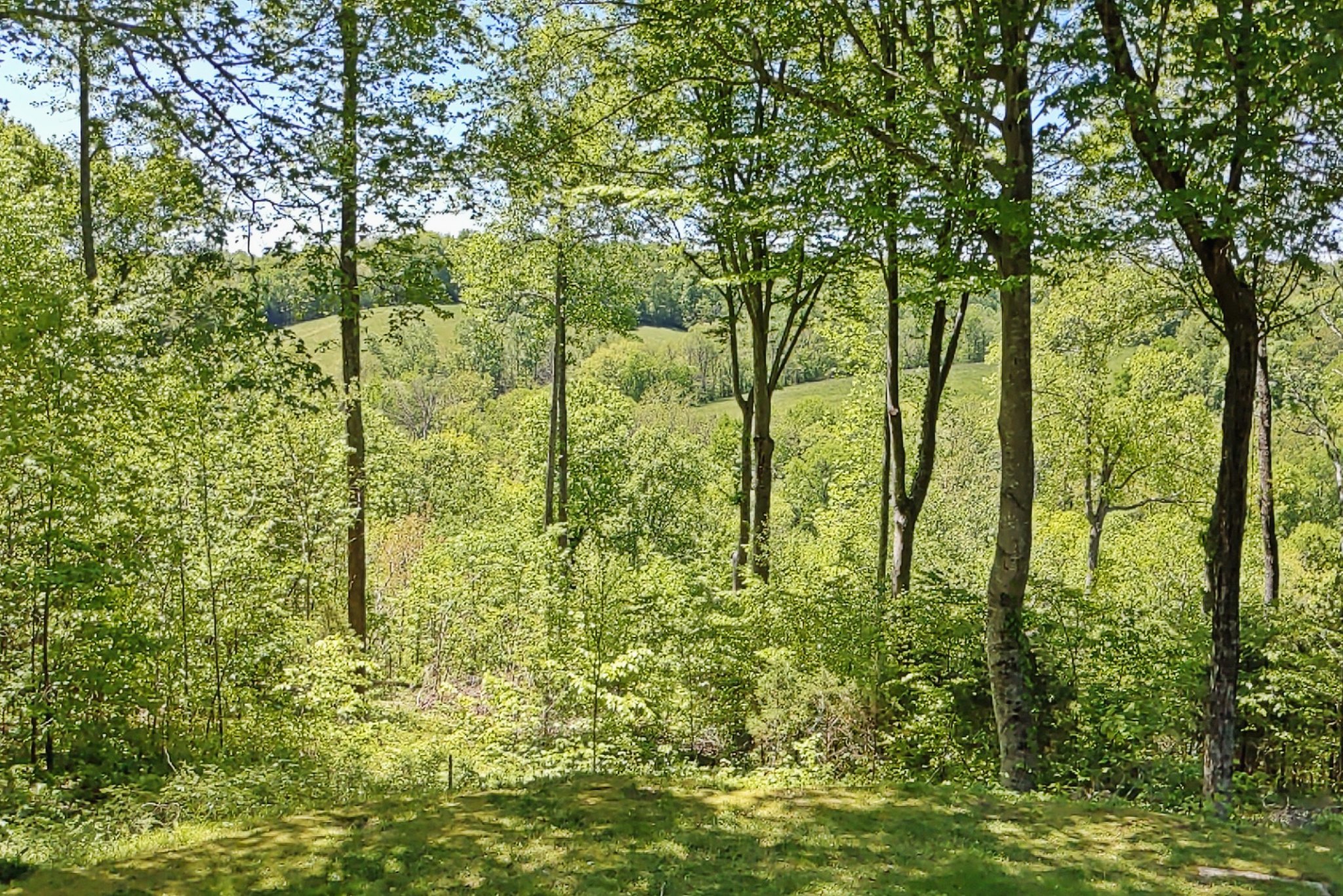 A Secluded Country Home with Acreage in the Forest - TN Homes with Acreage For Sale!