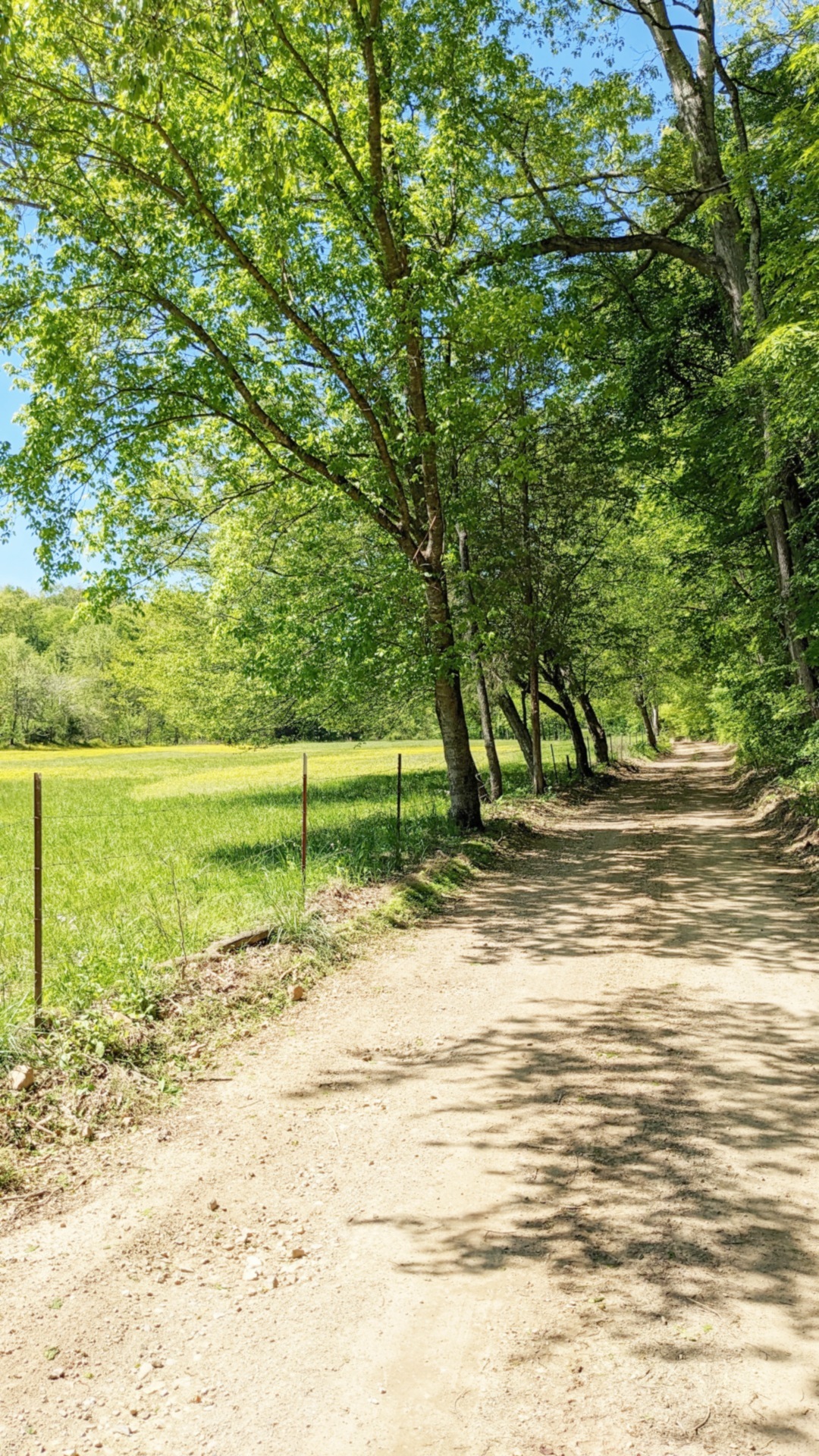 You can't beat the fresh air & beautiful surroundings. This secluded country home, located near the I-40 in Middle Tennessee, is the perfect example of what makes living in the country so great - Country Home For Sale Surrounded by Windy Back Roads.