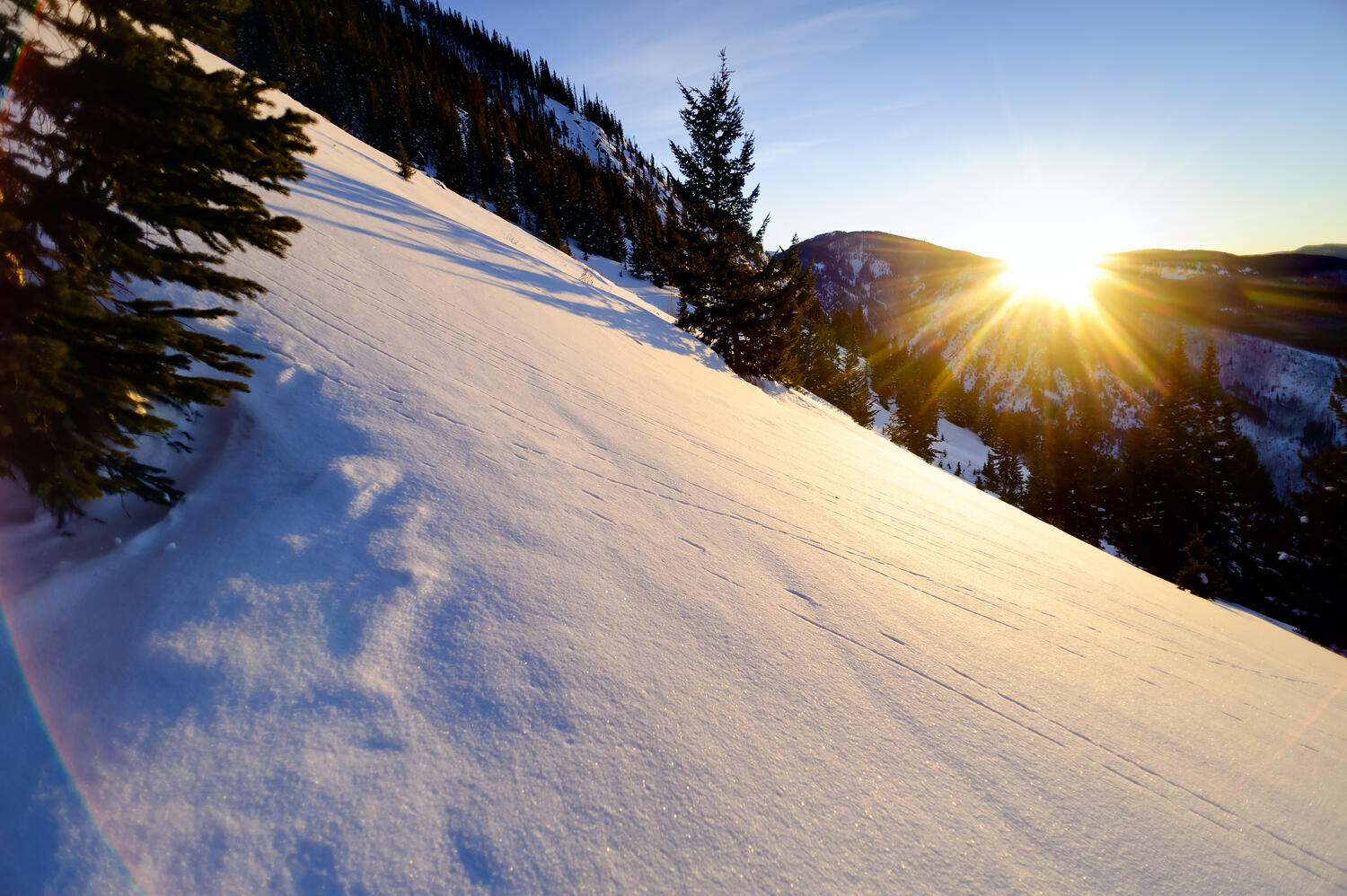 Bear Paw Lodge in Bachelor Gulch