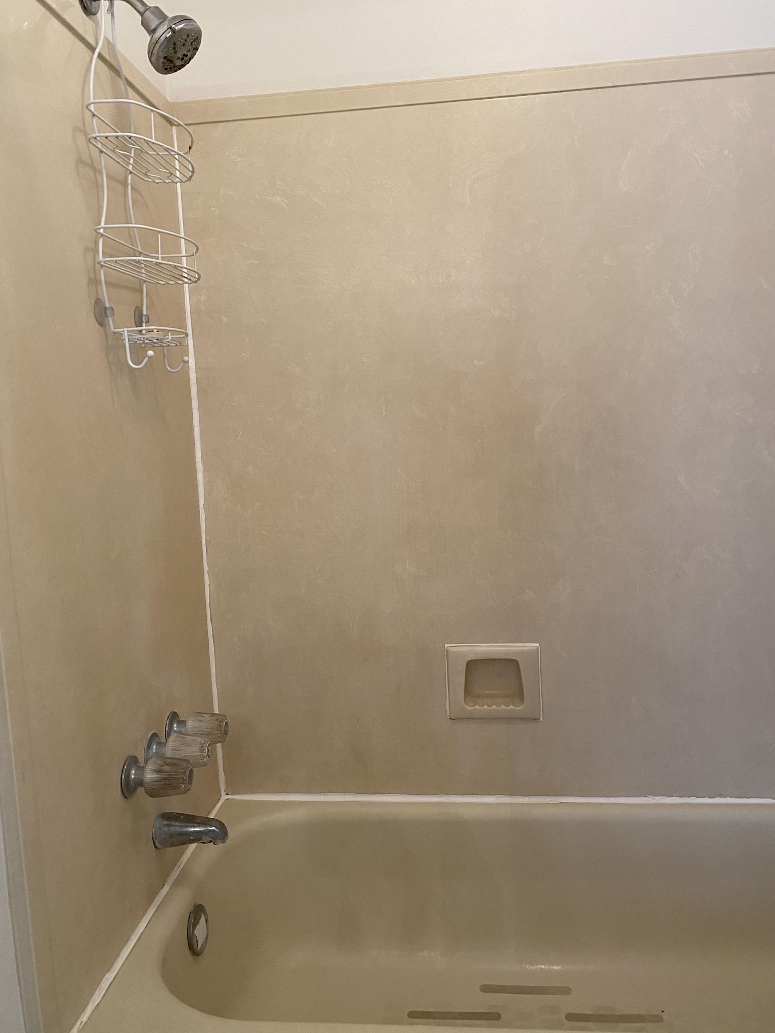 Master bathroom shower