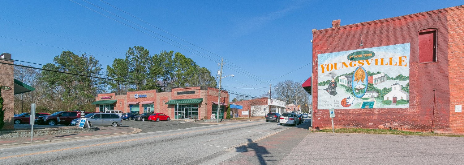 Wake Forest, North Carolina Real Estate Info By Ray Realty Group