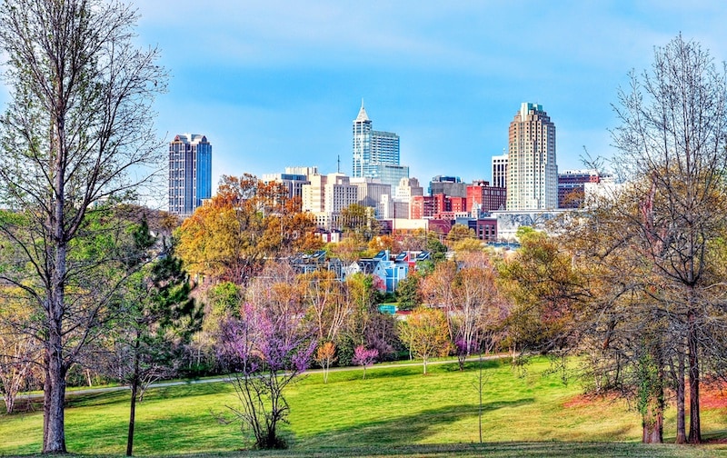 Raleigh skyline