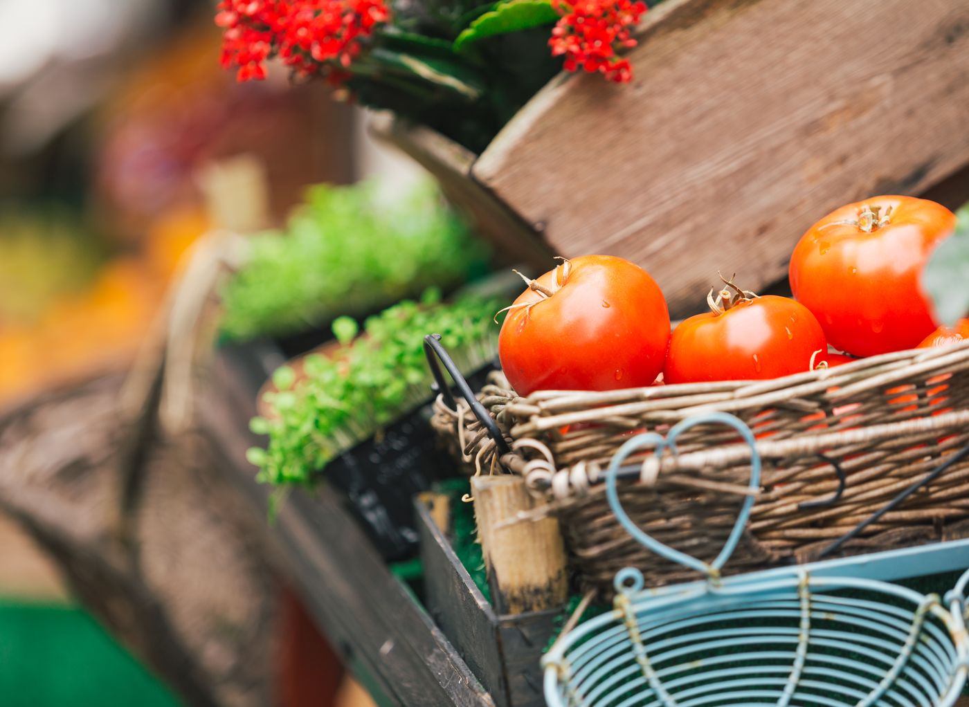 Fresh tomatoes and greens in baskets at a farmers' market stand