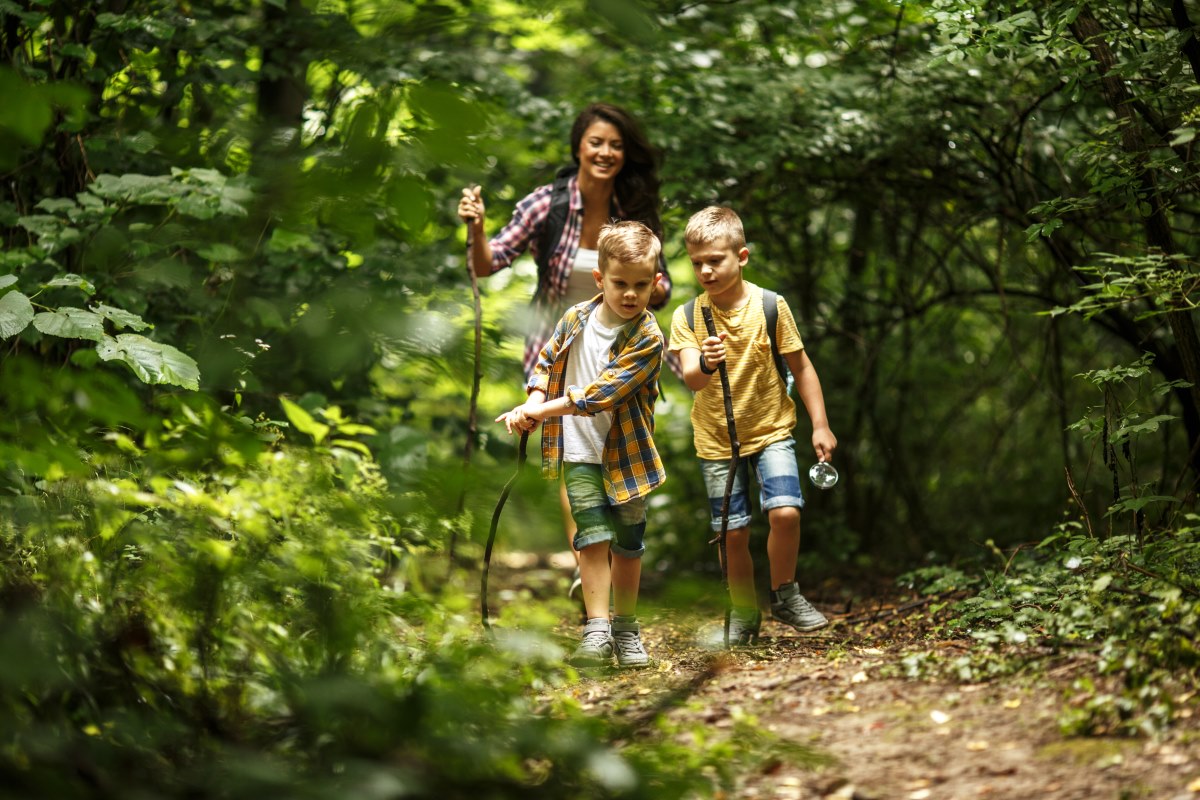 family hiking in green woods